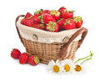 Cheerful basket full with fresh strawberries