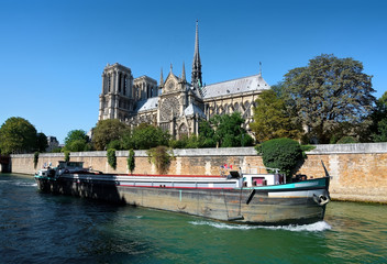 Wall Mural - View on Notre Dame