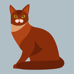 Wall Mural - Cat breed abyssinian cute pet portrait fluffy red adorable cartoon animal and pretty fun play feline sitting mammal domestic kitty vector illustration.