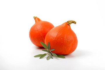 Canvas Print - orange pumpkins and sage