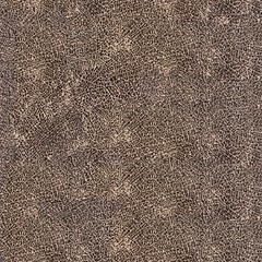 Wall Mural - Brown leather background, macro shot. Seamless square texture, tile ready.