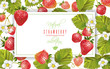 Strawberry horizontal banner