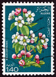 Postage stamp Algeria 1978 Flowers of Apple