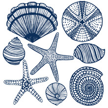 Vector Hand-drawn Maritime Set - Shells Urchin Starfishes