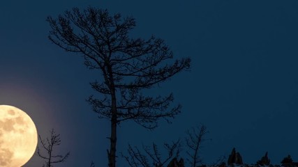Wall Mural - Night Time lapse Large full bright moon rises from above hill into sky.