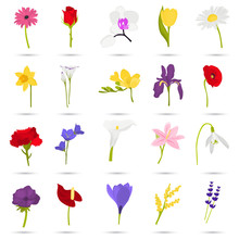 Set Of Different Flowers Color Flat Icons For Web And Mobile Design