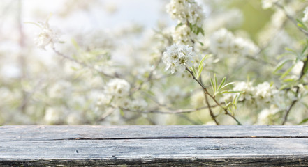 Wall Mural - Empty table