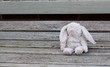 Abandoned , lonely old toy rabbit sat on a wooden bench 