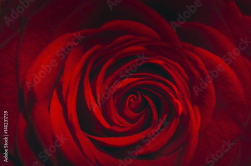 500_F_140231739_IZguLzi47qUiHyOLDQMIouJiAxu5SsYb.jpg