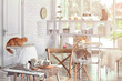 © Africa Studio - Beautiful interior of modern cat cafe