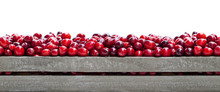 Fresh  Cranberry In A Wooden Box Isolated On White Background. Seamless Endless Horizontal Image.