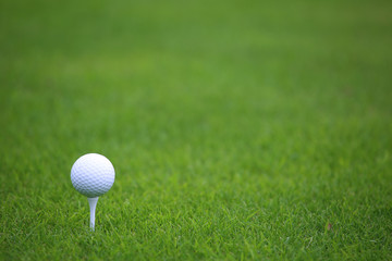 Canvas Print - Golf ball on tee