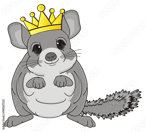 Animal Cartoon Pet Gray Rodent Fur Chinchilla Stand Golden Crown Buy This Stock Illustration And Explore Similar Illustrations At Adobe Stock Adobe Stock