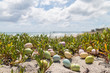 Colorful Easter eggs on the sandy tropical beach background.