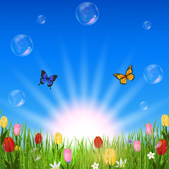 Sticker - Beautiful nature background