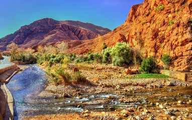 Canvas Print - Todgha Gorge, a canyon in the Atlas Mountains. Morocco