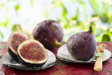 Wall Mural - Fresh figs in the orchard 