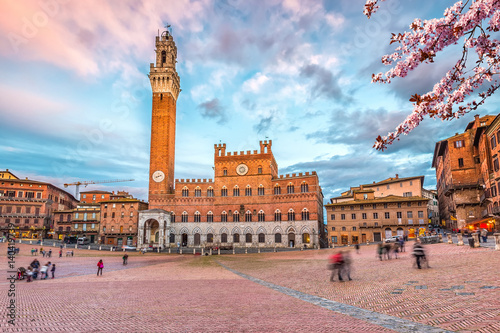 Fotomural Piazza del Campo in Siena, Italy