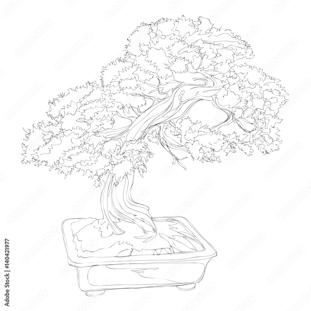 Stock-Vektorgrafik beautiful bonsai traditional line art continuous line  vector drawing | Adobe Stock