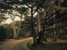 17 Mile Drive Pebble Beach Cypress  Carmel Monterey California