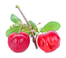 Barbados Cherry, Ripe Thai Cherry On White Background