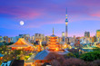View of Tokyo skyline at twilight