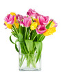 Bouquet of fresh tulips in vase isolated