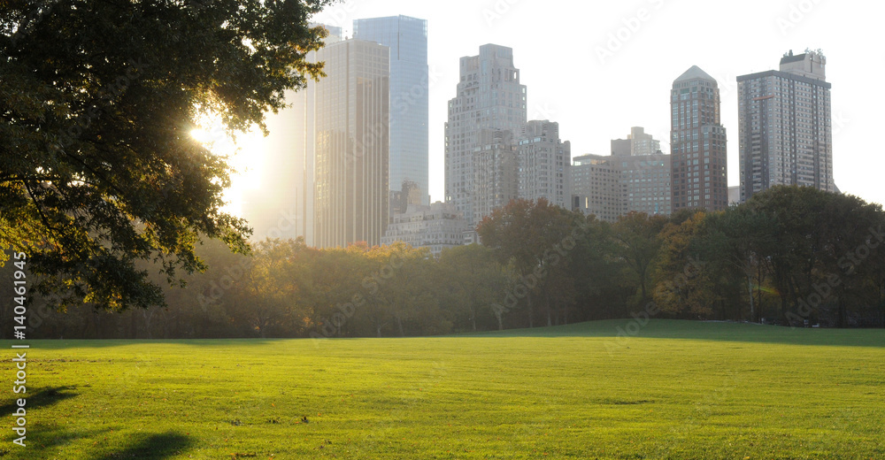 central-park-w-blasku-slonca-w-piekny-dzien-nowy-jork