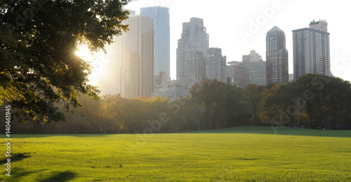 central-park-w-blasku-slonca-w-piekny-dzien-nowy-jork