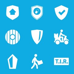 Poster - Set of 9 shield filled icons