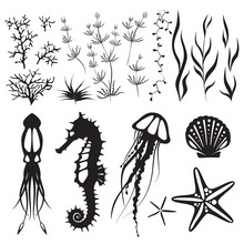 Sea Life And Underwater Sea Bottom Elements, Animals: Jellyfish, Seahorse, Squid And Plants. Black Simple Vector Shapes, Silhouette. The Inhabitants Of The Seabed.