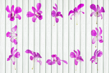 Poster - white wood background with orchid decoration