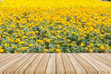 Wall Mural - wooden table with yellow marigold flower background