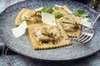 Traditional Italian Ravioli with Parmesan as close-up on a Plate