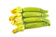 Gruppo di zucchine