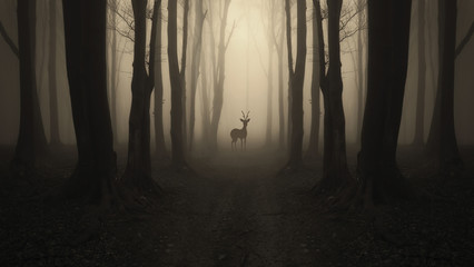 Wall Mural - deer silhouette on forest path, dark surreal landscape