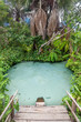 Fervedouro Rio Sono - A typical natural pool, source of rivers at Jalapao - Brazil