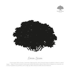 Wall Mural - Black silhouette of a bush on a white background. Forest trees