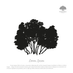 Wall Mural - Black silhouette of a bush on a white background. Forest trees
