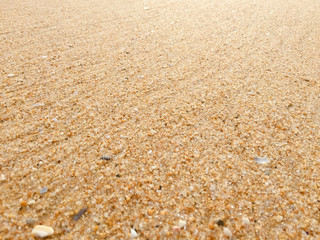 Abstract natural sandy beach closeup, seacoast background. Space surface for text