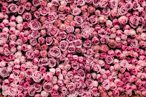 Plakat kwiaty tle ściany z niesamowitych róż