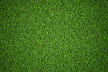 Natural Grass Texture Background In Bright Yellow Green Color Tone. Top View. 3D Illustration.