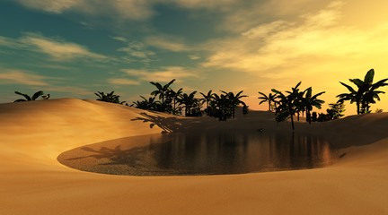 Wall Mural - beautiful oasis in the sandy desert, a sunset in the desert
