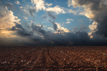 Wall Mural - Plowed field after the harvest