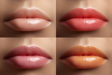Beautiful Lip Collection. Fashion Sexy Make-up Set With Female Plump Lips. Fashion Variant For Makeup. Naturale Pale Set