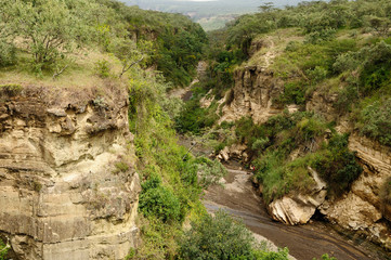 Wall Mural - Hells Gate NP in Kenya, Africa