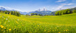 Leinwandbild Motiv Idyllic landscape in the Alps with blooming meadows in summer