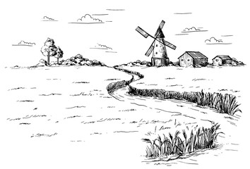 Rural landscape field wheat in graphical style. Hand drawn and converted to vector Illustration.