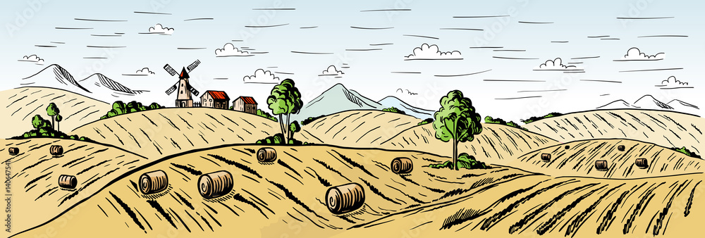 Colorful Rural landscape field wheat in graphical style. Hand drawn and ...