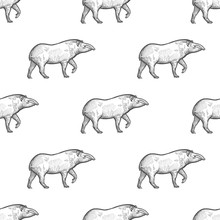 Seamless Pattern With Tapir.